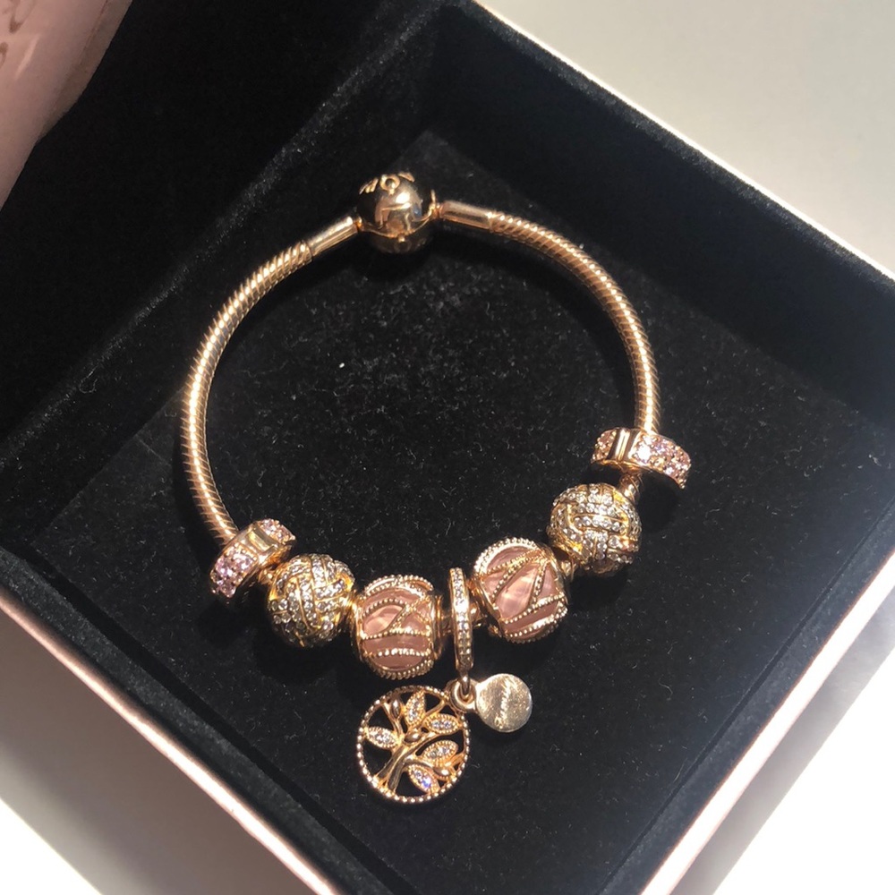 Full Pandora Rose bracelet!
